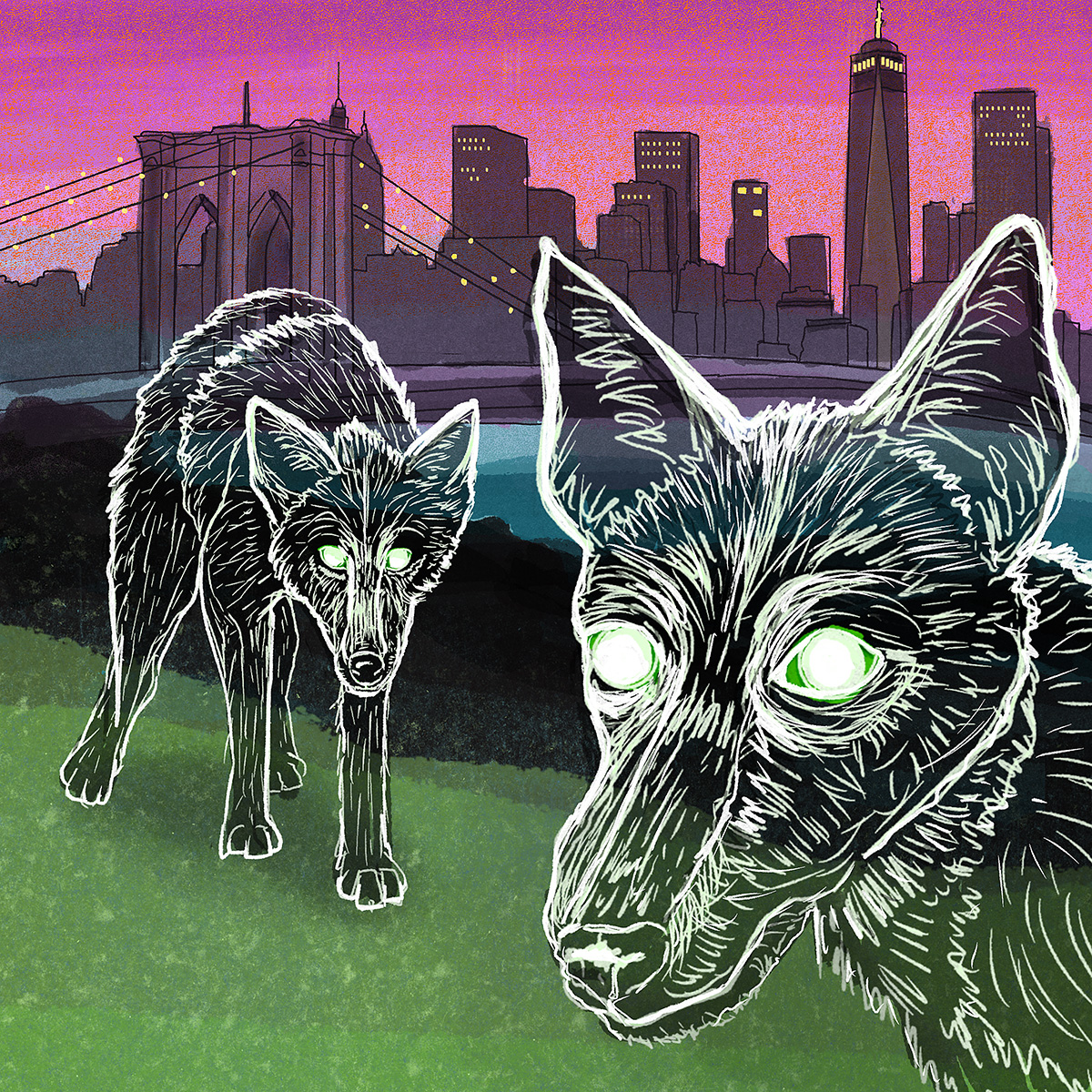 A digital illustration of two coyotes in front of NYC skyline
