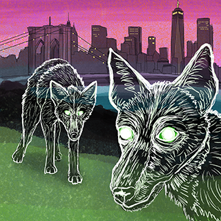 Illustration Thumbnail